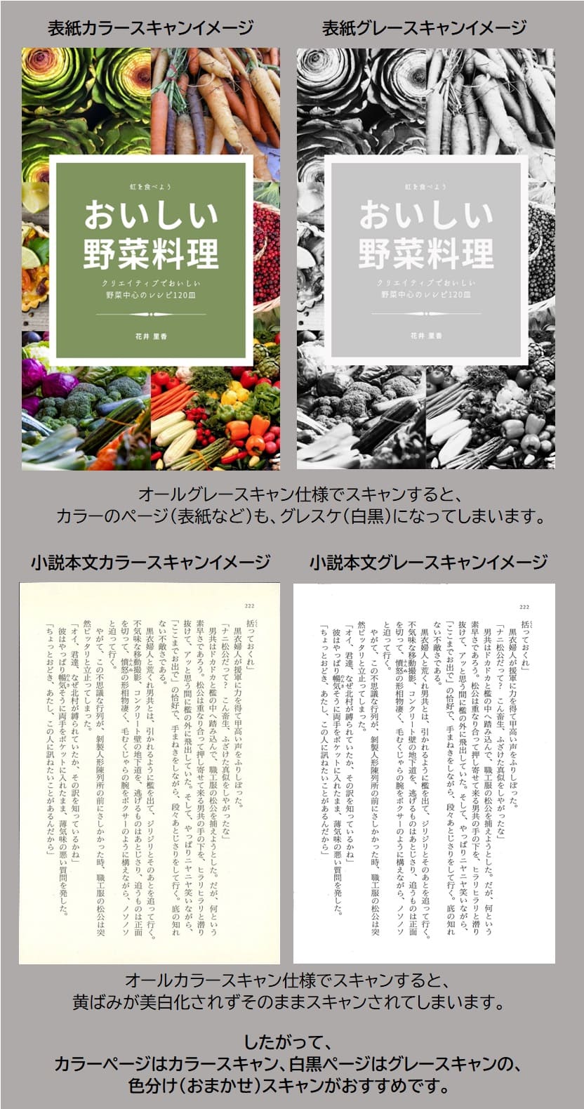 色分けおすすめ
